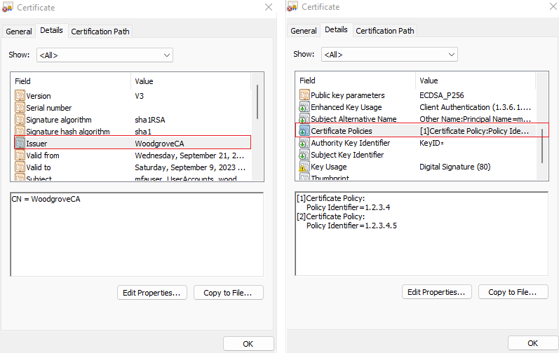 Screenshot of the user certificate.