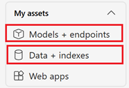 Screenshot of my assets section in the Azure AI Foundry.
