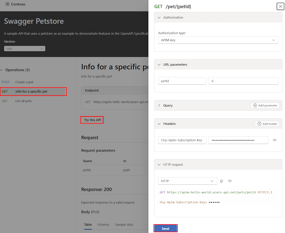 Screenshot of testing an API in the API Center portal's test console.
