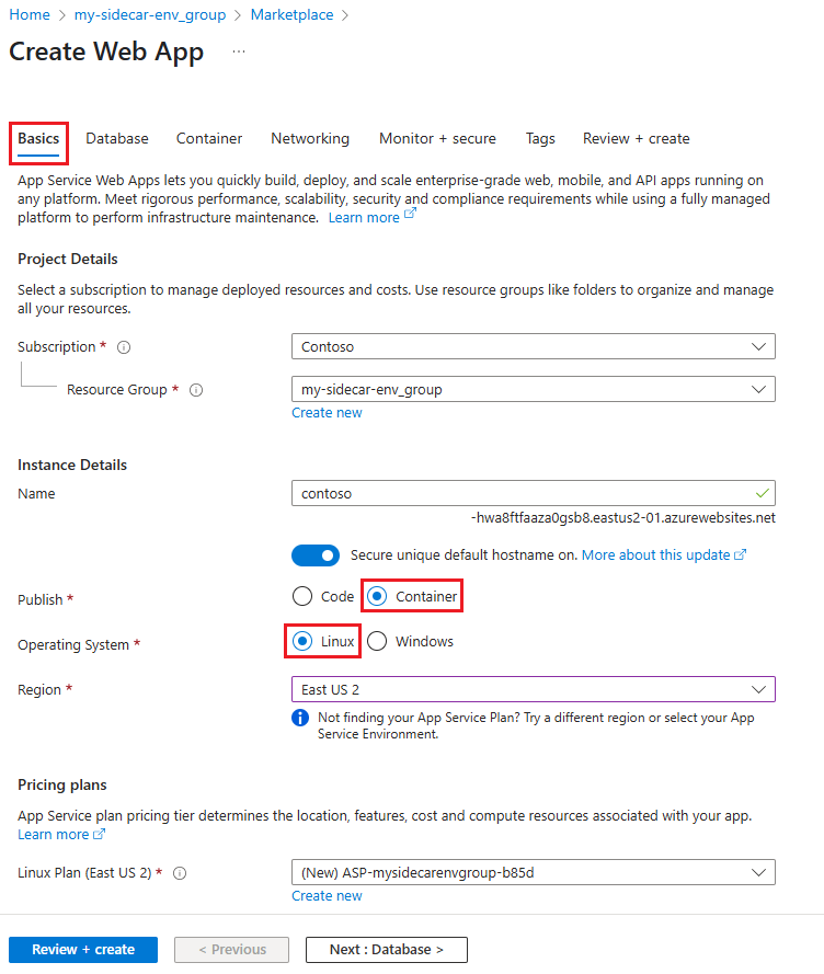 Screenshot showing the Basic settings for the Linux custom container web app.