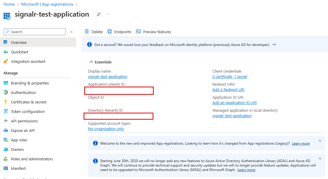 Screenshot that shows an overview of information for a registered application