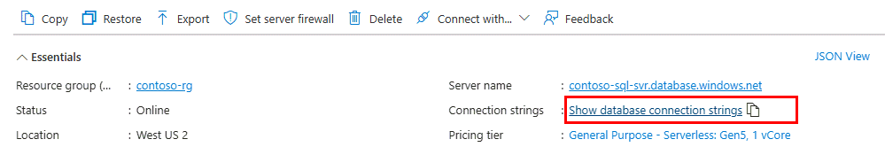 Screenshot from the Azure portal of a SQL database Overview page. The show database connection strings link is highlighted.