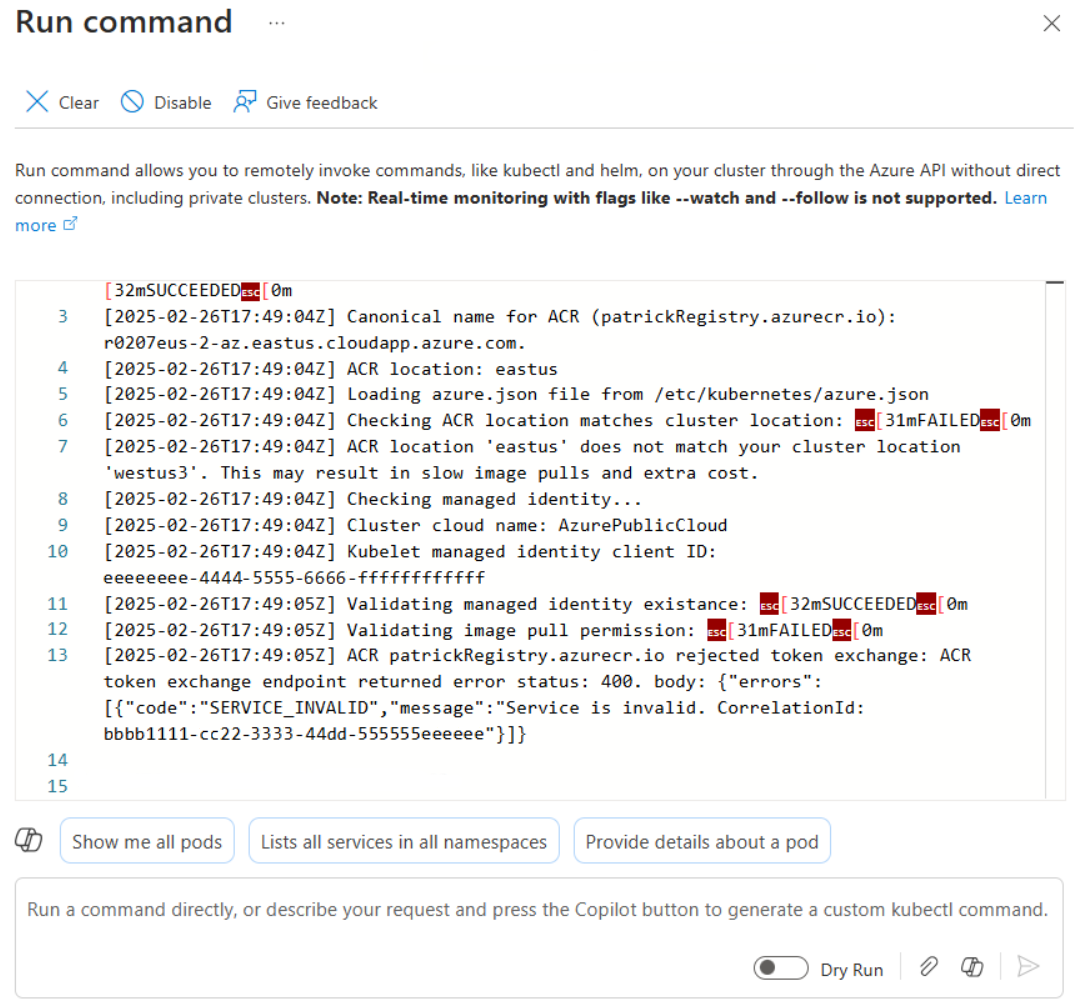 Screenshot showing log information in the Run Command pane.