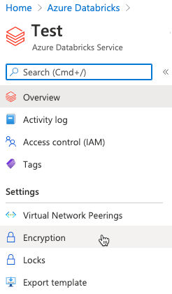 Encryption option for Azure Databricks