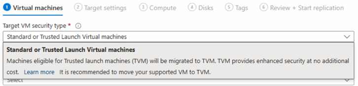 Screenshot showing standard or trusted launch virtual machines.