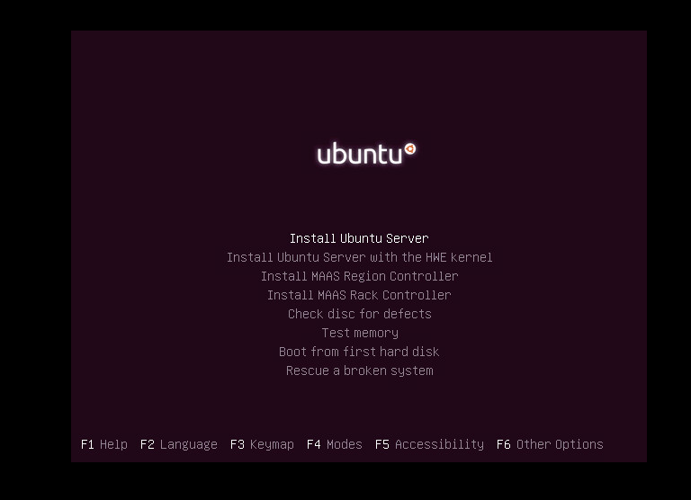 Select Install Ubuntu Server.