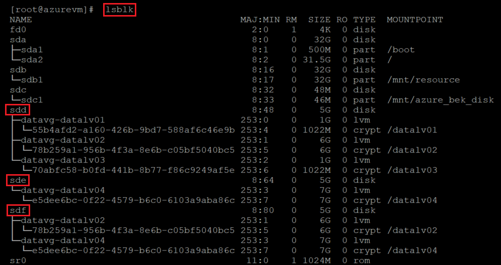 Screenshot showing the code that checks the output of l s b l k with the command and results highlighted.