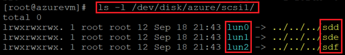 Screenshot showing the code that checks the current disk list with the command and results highlighted.