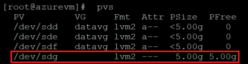 Screenshot showing the code that shows the physical volume list with the result highlighted.