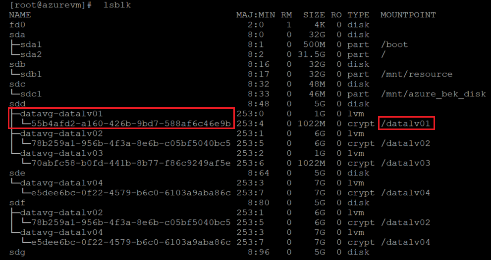 Screenshot showing the code that identifies the local volume that needs to be resized with the results highlighted.