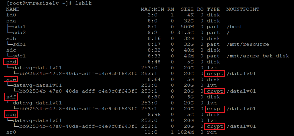 Screenshot showing alternative code that identifies encrypted disks with the results highlighted.