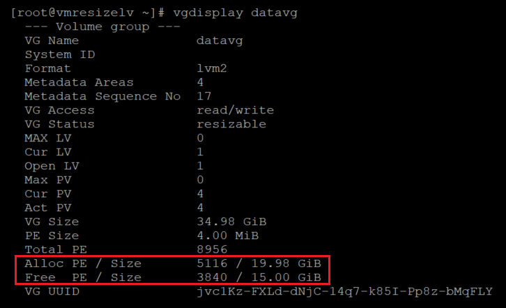 Screenshot showing the code that checks information for the volume group with the result highlighted.