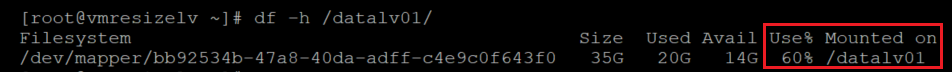 Screenshot showing the code that checks the size of the file system with the result highlighted.