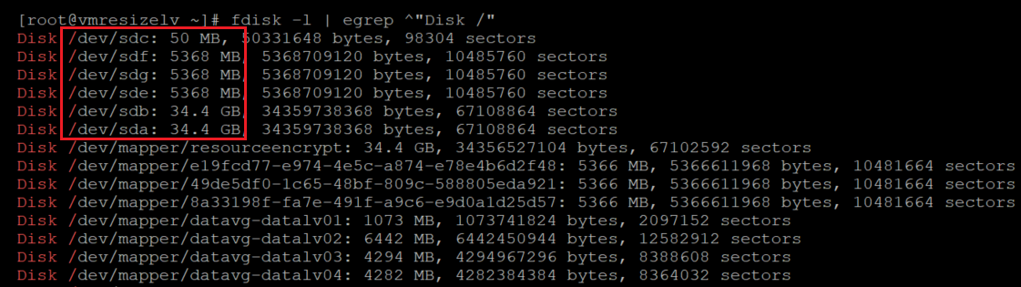 Screenshot showing the code that checks the size of the disks with the result highlighted.