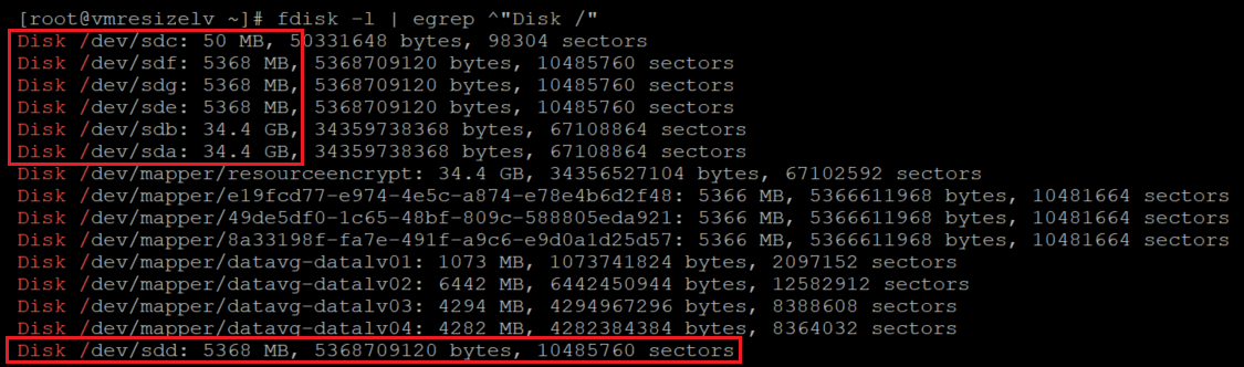 Screenshot showing the code that lists the disks with the results highlighted.