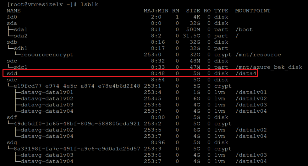 Screenshot showing additional code that verifies that the file system is mounted with the result highlighted.
