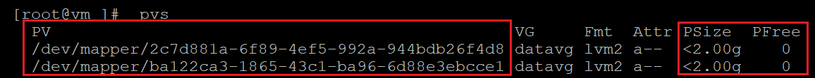 Screenshot showing the code that checks information for physical volumes with the results highlighted.