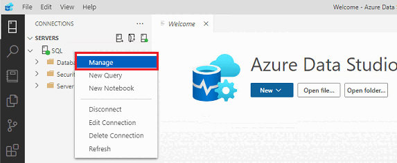 Screenshot that shows a server connection and the Manage option in Azure Data Studio.