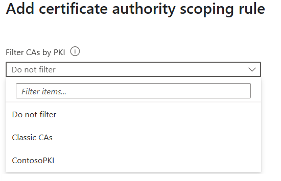 Screenshot of CA scoping PKI filter.