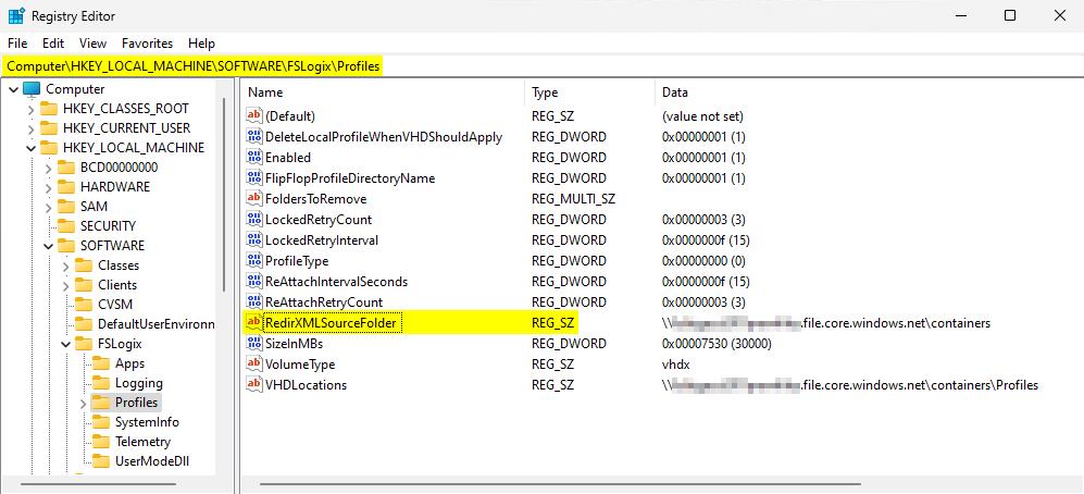 Screenshot that shows registry profiles.