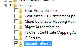 Screenshot of World Wide Web Services and Security pane expanded with Request Filtering selected.
