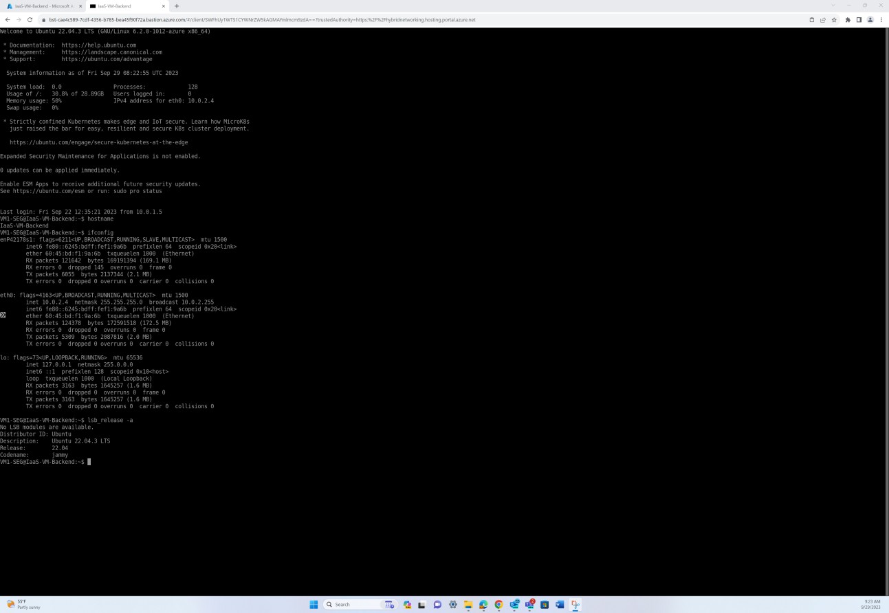 Linux OS output with ID, description, version history, and codename.