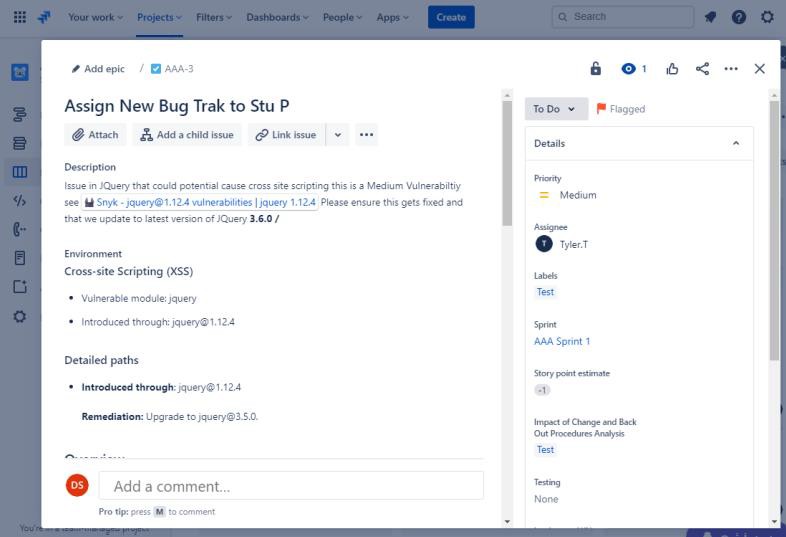 Jira ticket assign new bug Trak, showing description, environment, detailed paths, and bug details.