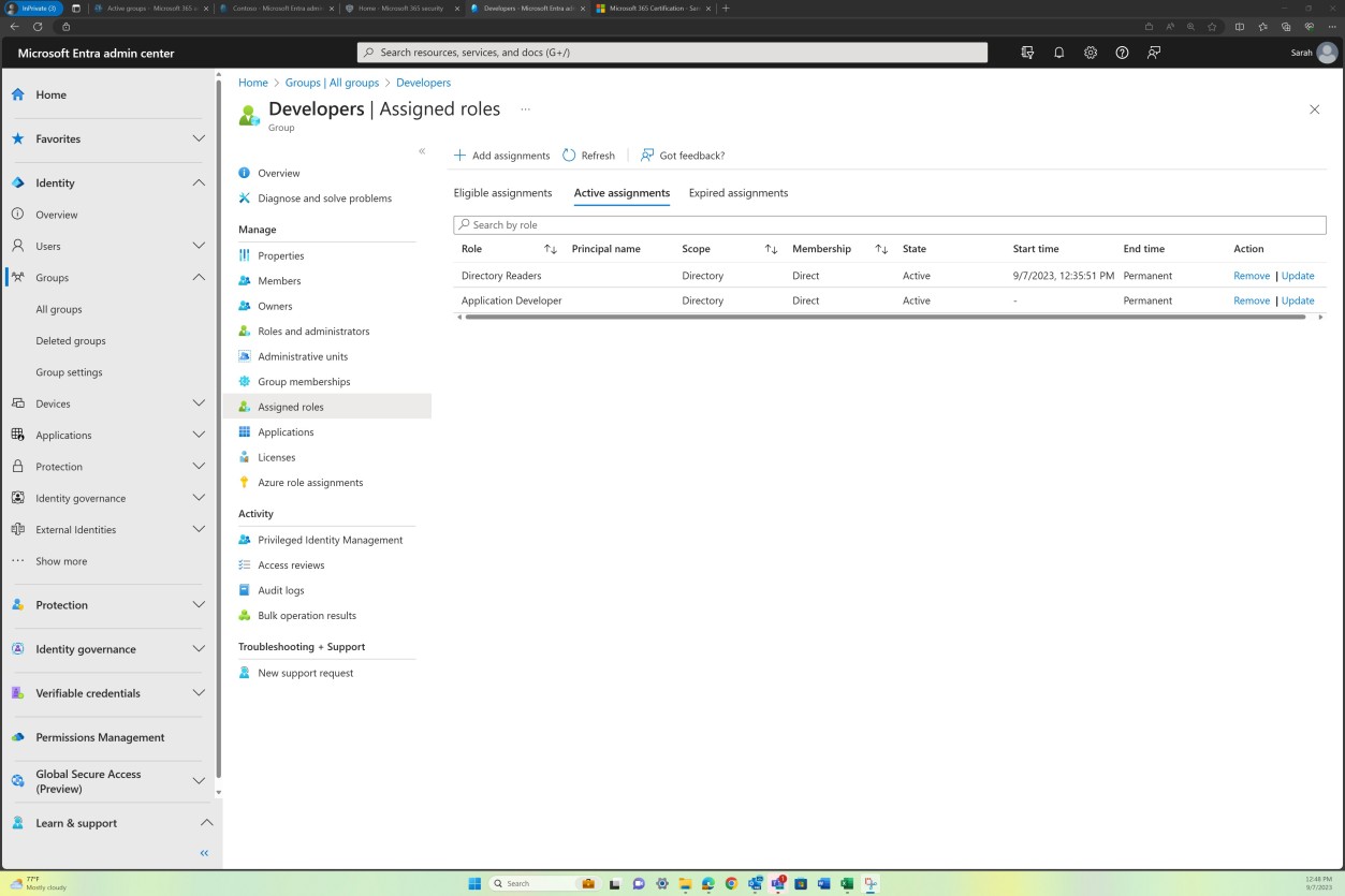 Microsoft Entra admin center developers group assigned roles with one active assignment titled application developer.
