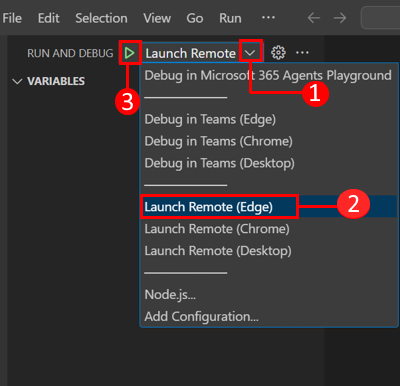 Screenshot shows how to launch the app remotely.