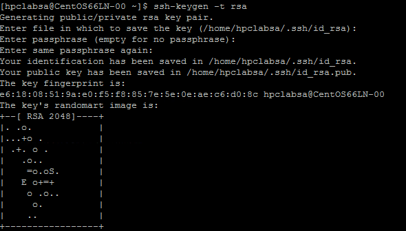 Generate an RSA key pair