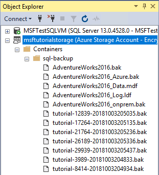 Screenshot from Object Explorer in SSMS with multiple snapshots in Azure Container.