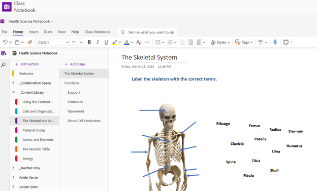 Screenshot of a OneNote Class Notebook learning page.