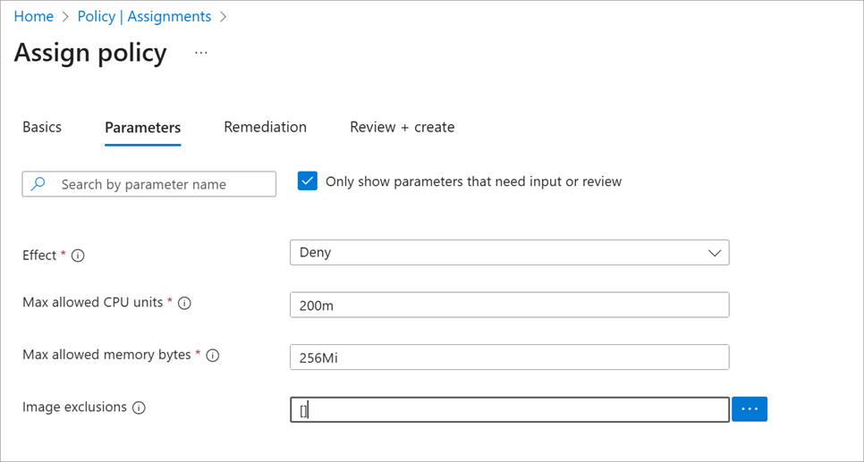 Screenshot that shows the information captured in the Parameters tab.