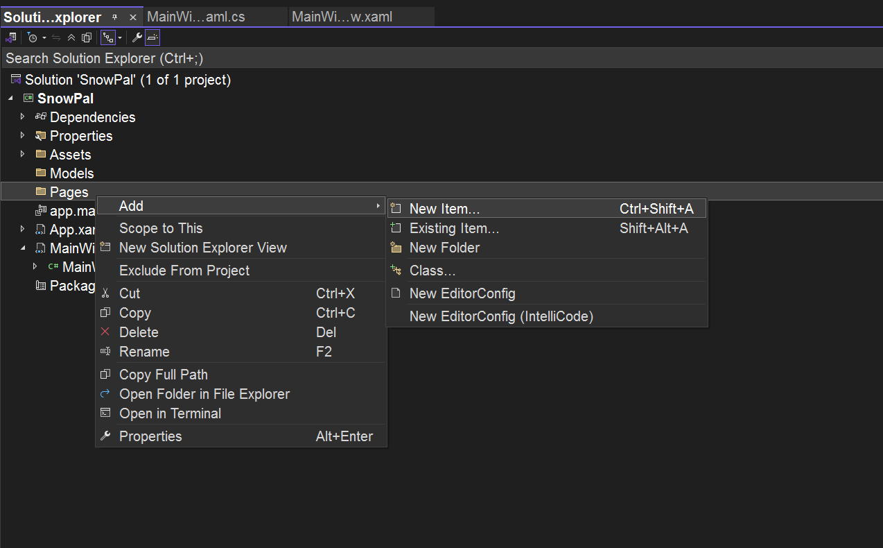 Screenshot of Visual Studios adding a page.