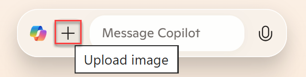 Screenshot of Copilot chat window.