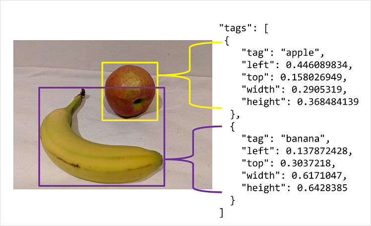 Photograph with JSON labels for the objects it contains.