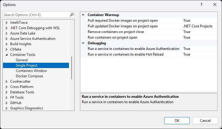 Screenshot of Visual Studio 2022 Container Tools options.