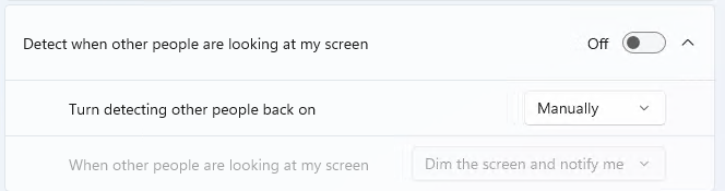 Settings for Onlooker Detection when toggle is off
