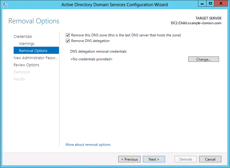 Screenshot of the Removal Options page of the wizard. Options for removing the DNS zone and delegation are selected.