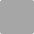 Color swatch of SystemColorWindowTextColor used for inactive or disabled UI.