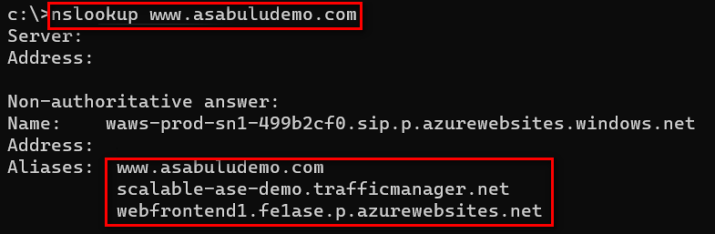 DNS 検索結果のスクリーンショット。
