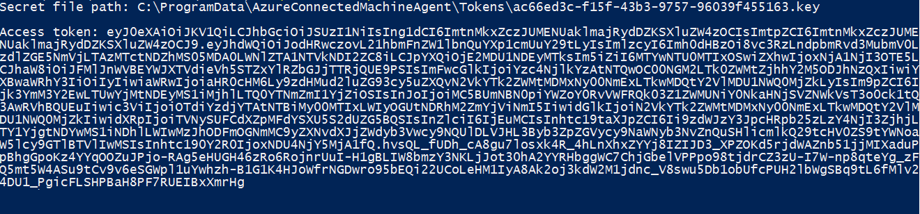 PowerShell を使用してアクセス トークンを正常に取得しました。
