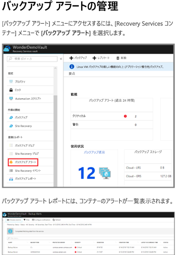 バックアップ アラート レポート