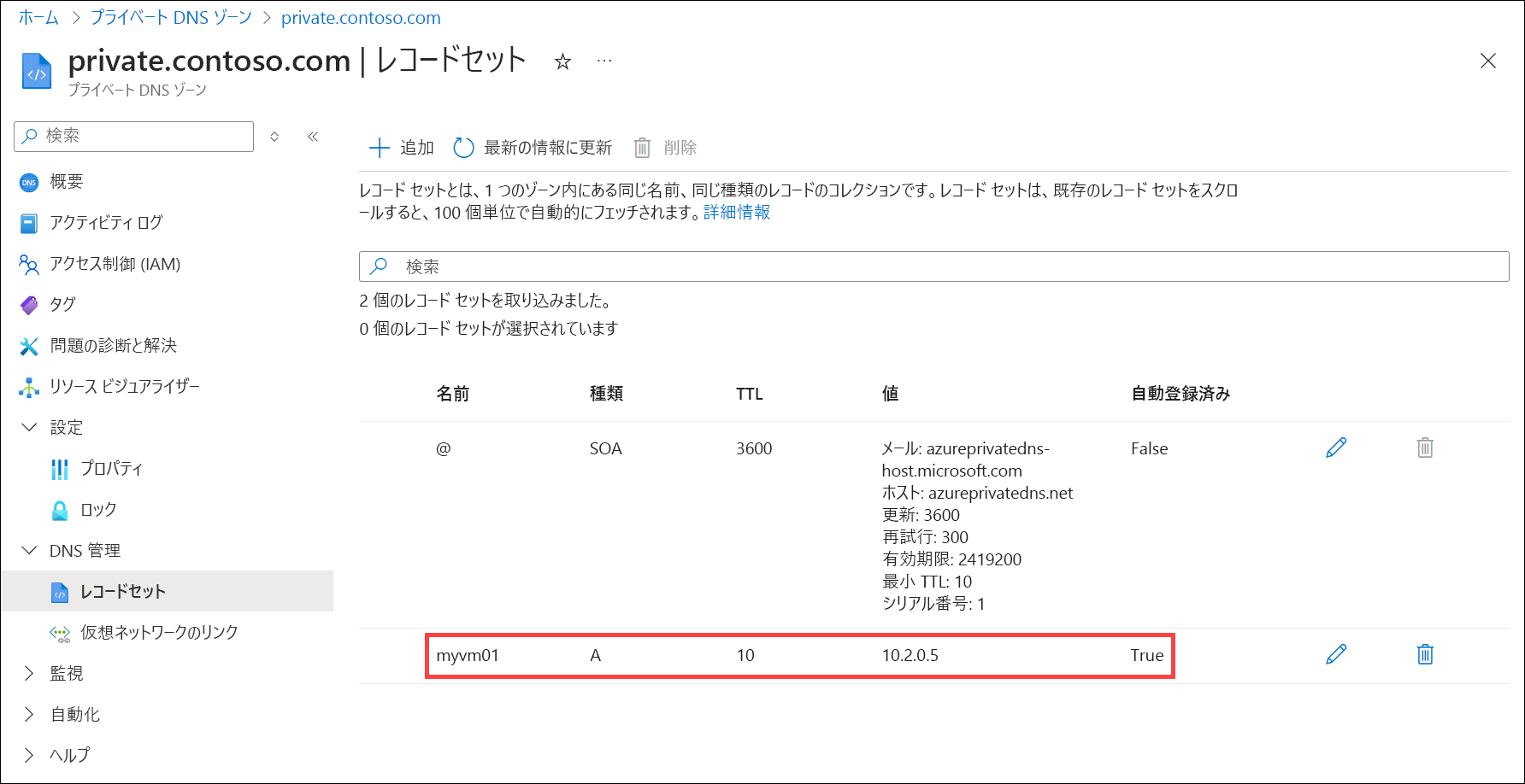 自動登録された DNS レコードのスクリーンショット。