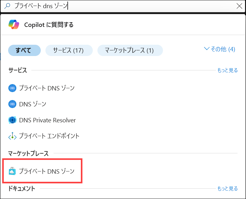 プライベート DNS ゾーンの検索のスクリーンショット。