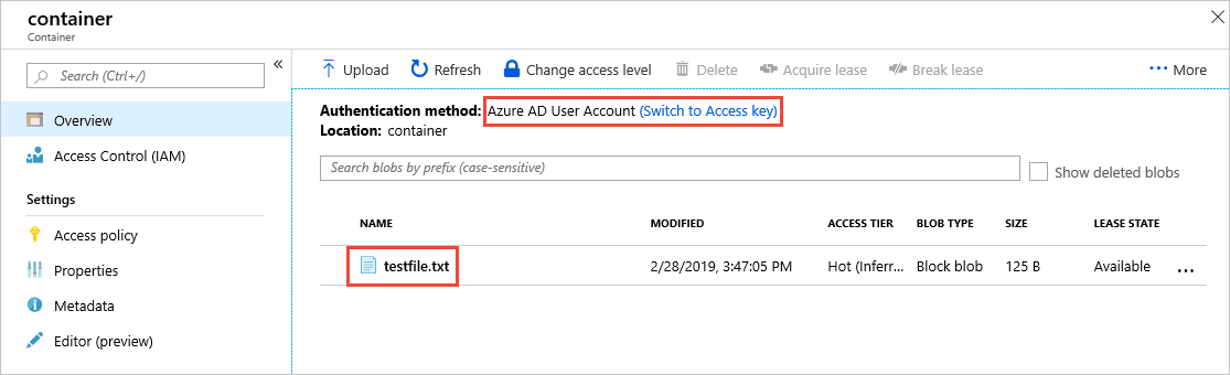 現在、Microsoft Entra アカウントを使用してコンテナーにアクセスしているユーザーを示すスクリーンショット