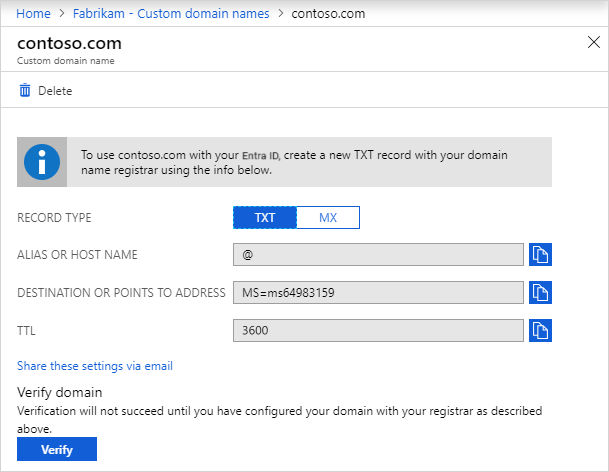 DNS エントリ情報を含む Contoso ページのスクリーンショット。