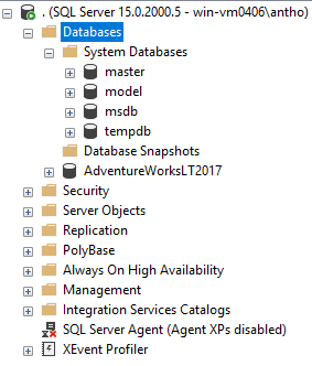 SSMS での SQL Server 2019 のデプロイの表示のスクリーンショット。