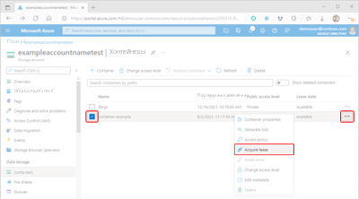 Снимок экрана: доступ к параметрам аренды контейнера на портале Azure.
