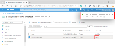 Снимок экрана: сломанная аренда контейнера на портале Azure.